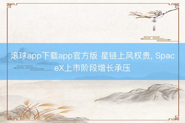 滚球app下载app官方版 星链上风权贵, SpaceX上市阶段增长承压