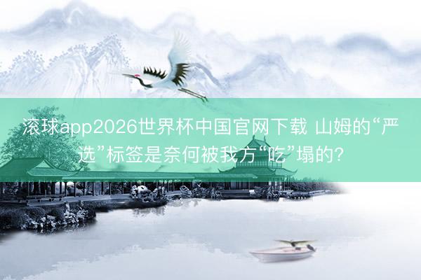 滚球app2026世界杯中国官网下载 山姆的“严选”标签是奈何被我方“吃”塌的?