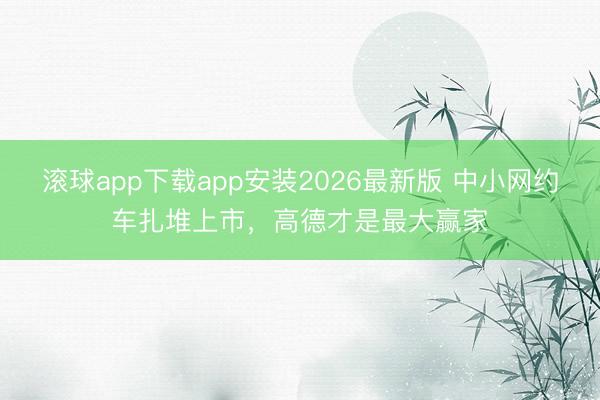 滚球app下载app安装2026最新版 中小网约车扎堆上市，高德才是最大赢家
